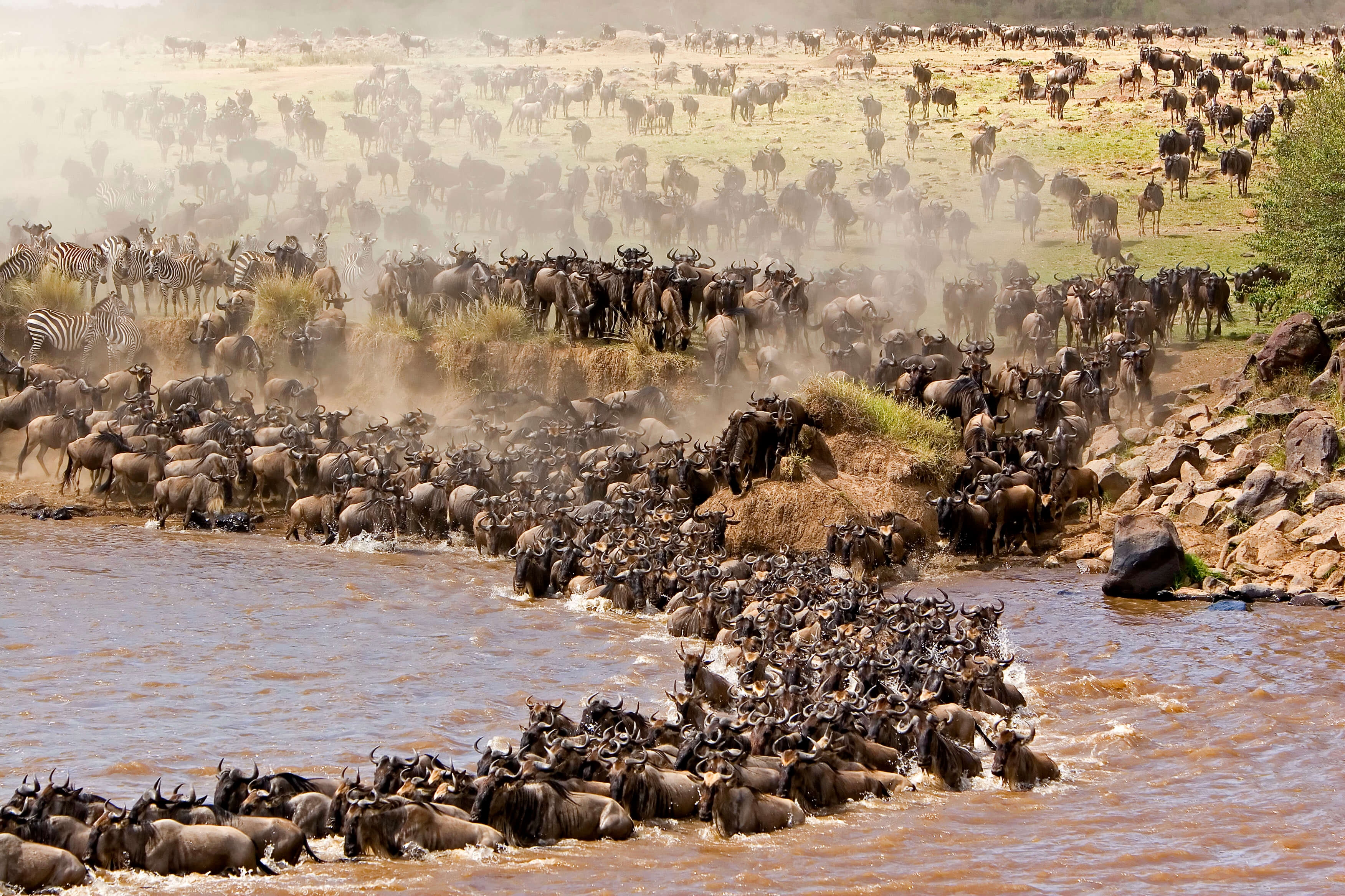 Untamed Horizons of Kenya & Tanzania