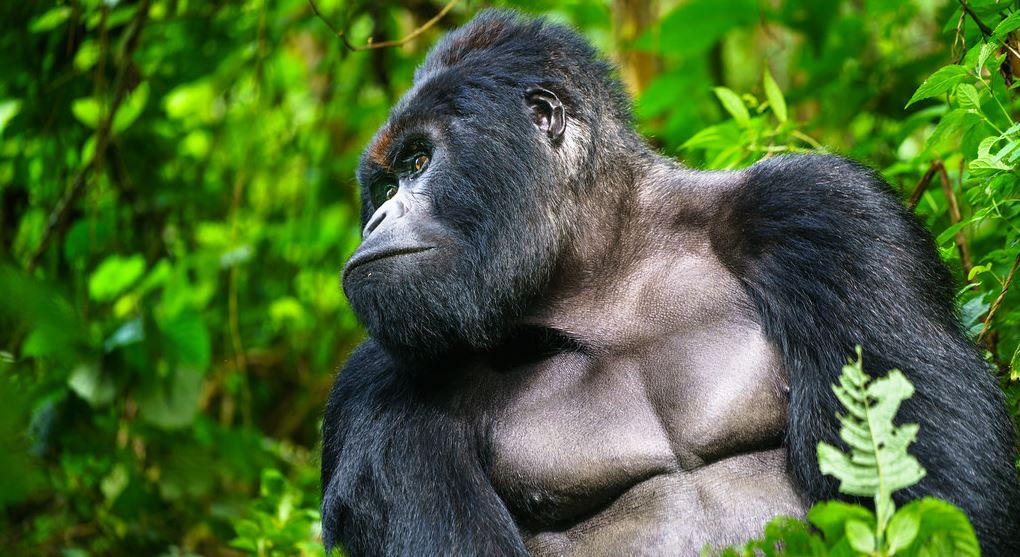 Rwanda