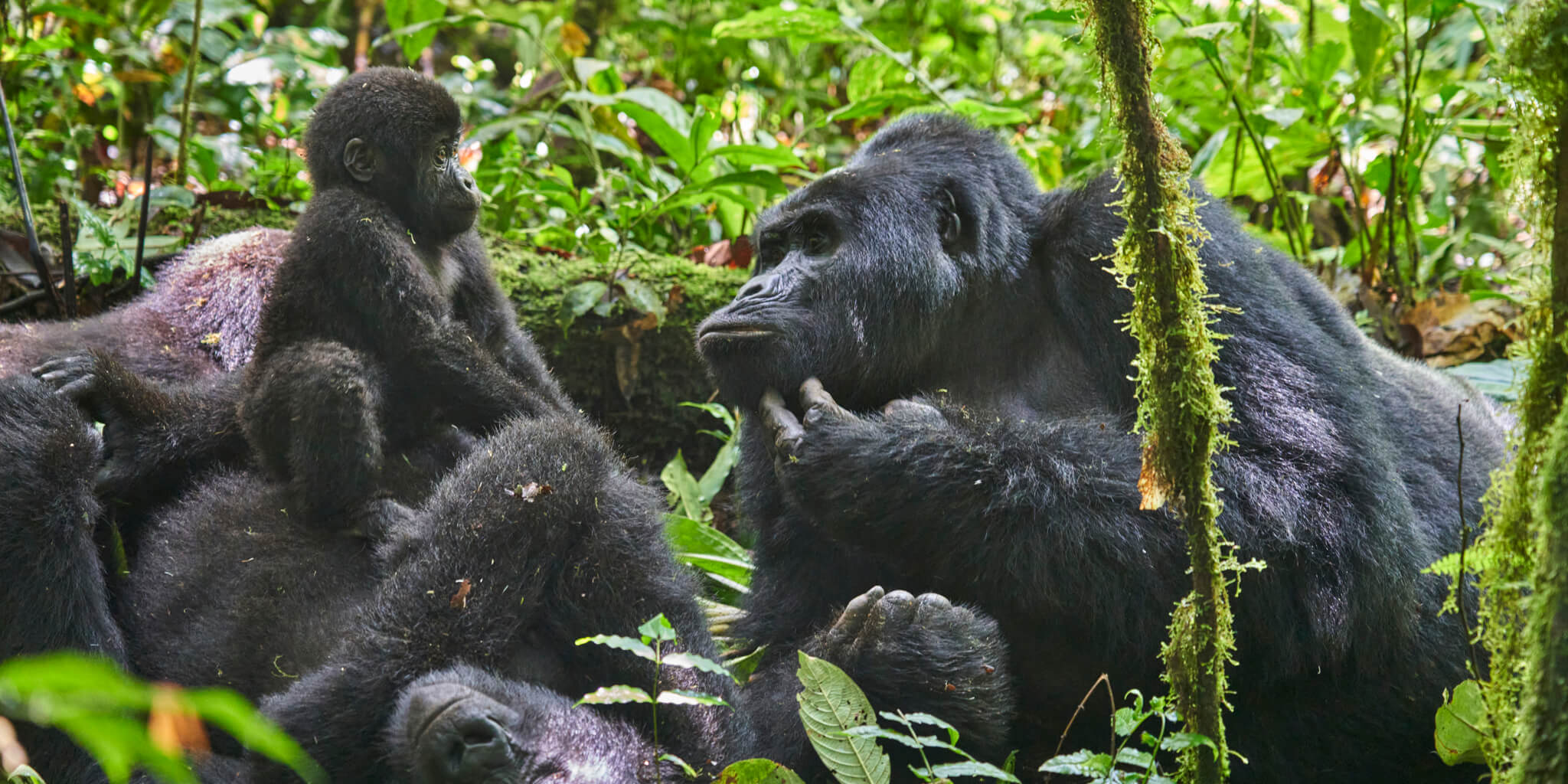Uganda