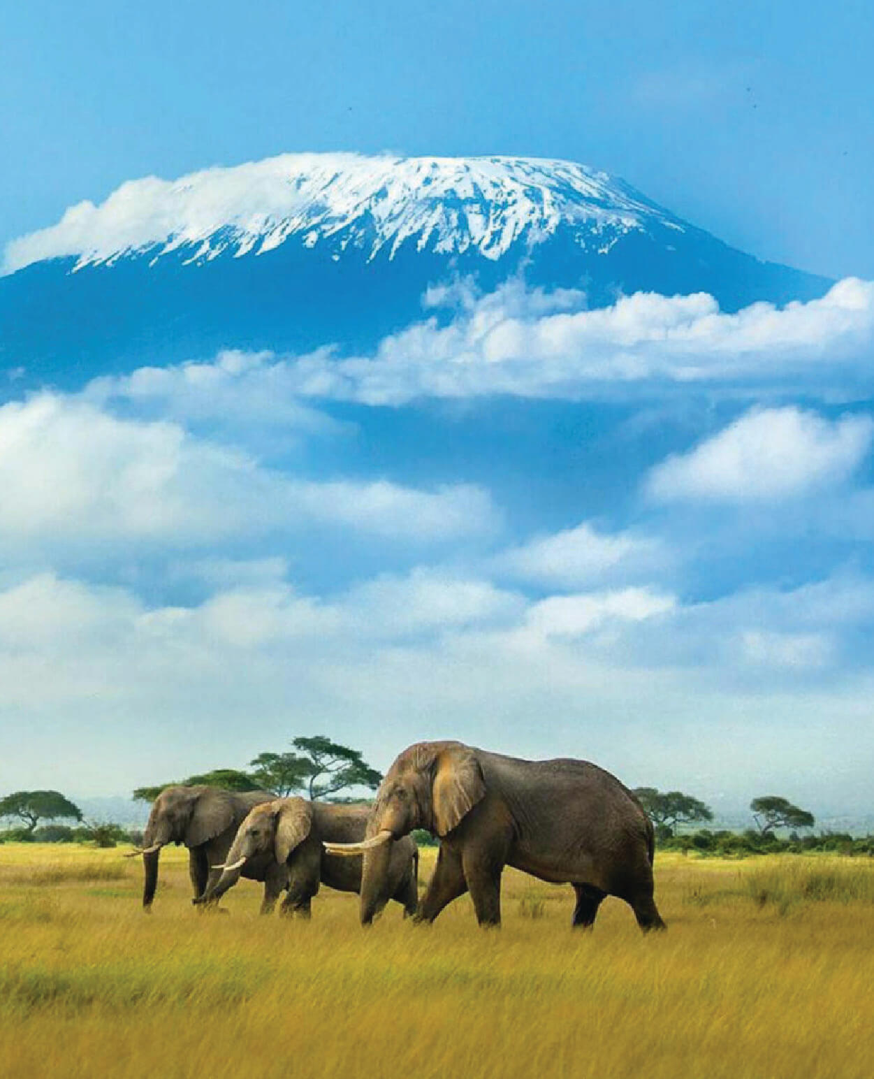 Amboseli Escape
