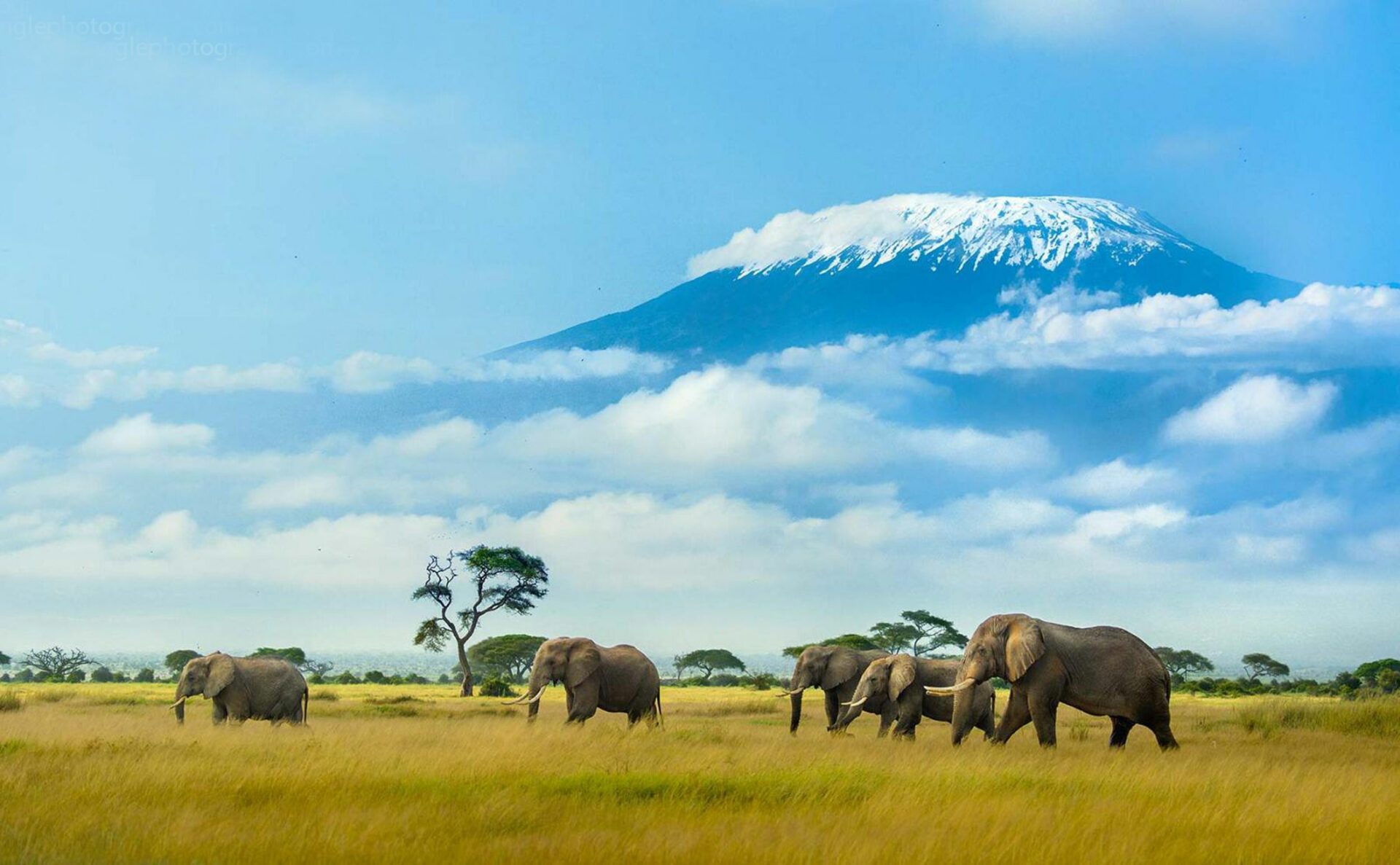 Amboseli Escape